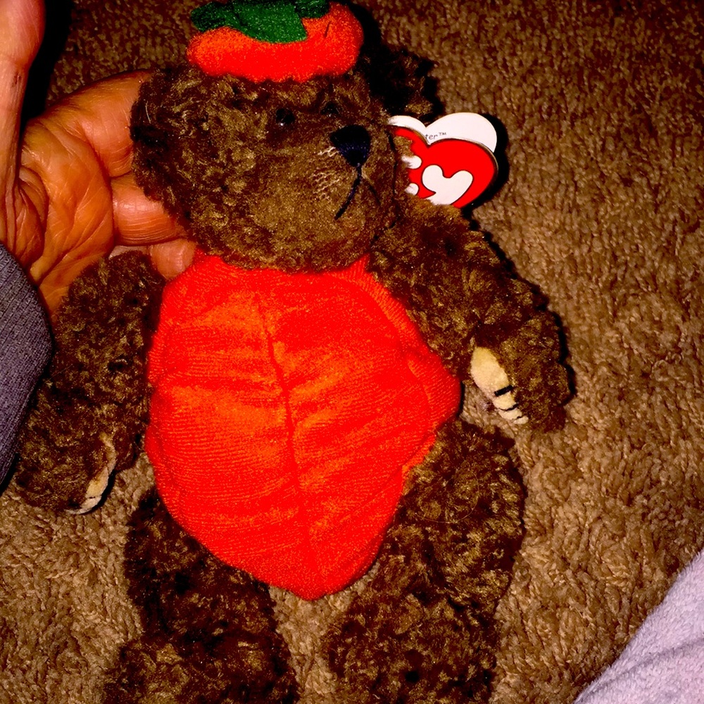 Peter”Trick or Treat Ty Bear